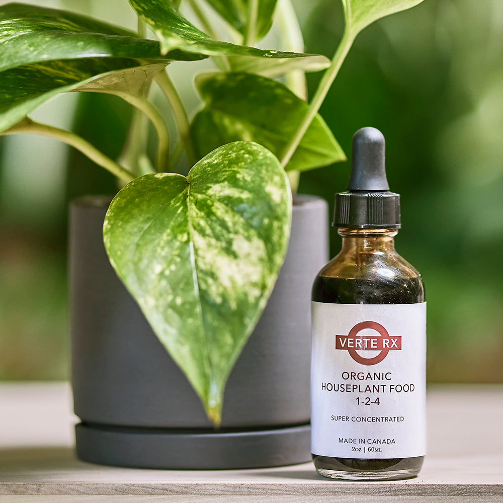 organics rx indoor plant food Verte Rx Organic Houseplant Food
