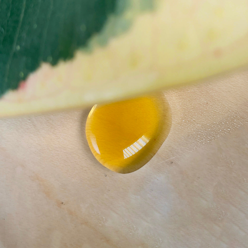 Verte RX | Organic Funky Fish, Super Concentrated Plant Vitamin Supplement droplet
